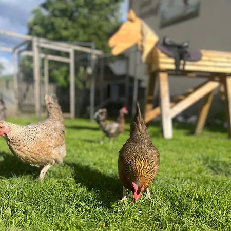 Binter Haus -rattendorf * Rattendorf