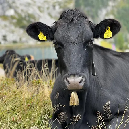Binter Haus -rattendorf Vakantiehuis