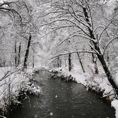 Vakantiehuis Binter Haus -rattendorf *