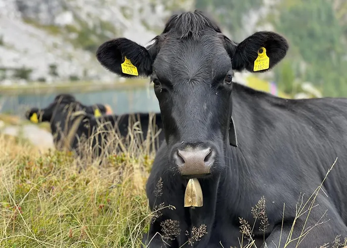 Binter Haus -rattendorf Dom wakacyjny