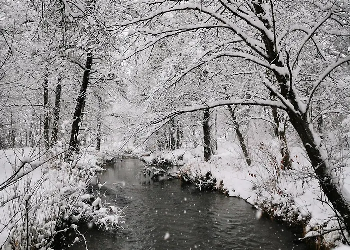 Дом отдыха Binter Haus -rattendorf *